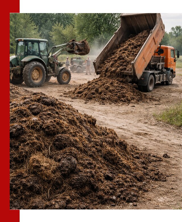 Доставка навоза самосвалами в Зеленокумске для сельхозпотребностей